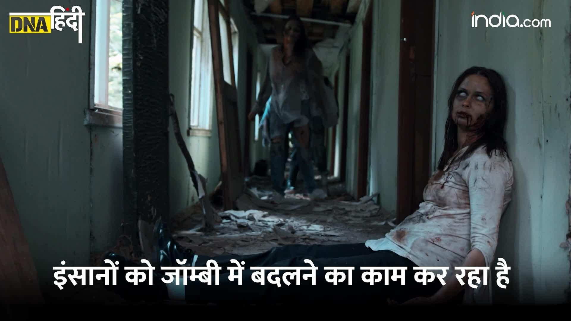 Video: आखिर क्या है इस दवा में जो अमेरिका में लोगों को बना दे रही है Zombie?