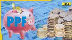 PPF Maturity Options: 3 options available for account holders to consider after maturity, know what to do