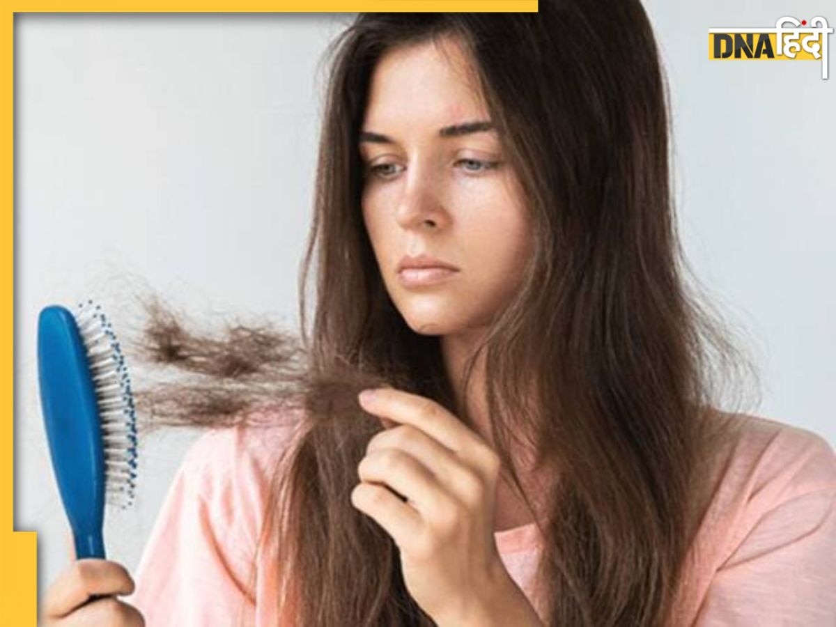 Hair Fall Control: अगर खा लिए ये 4 सुपर फूड्स तो बाल हो जाएंगे Silky Soft, हेयर फॉल से भी मिलेगा छुटकारा