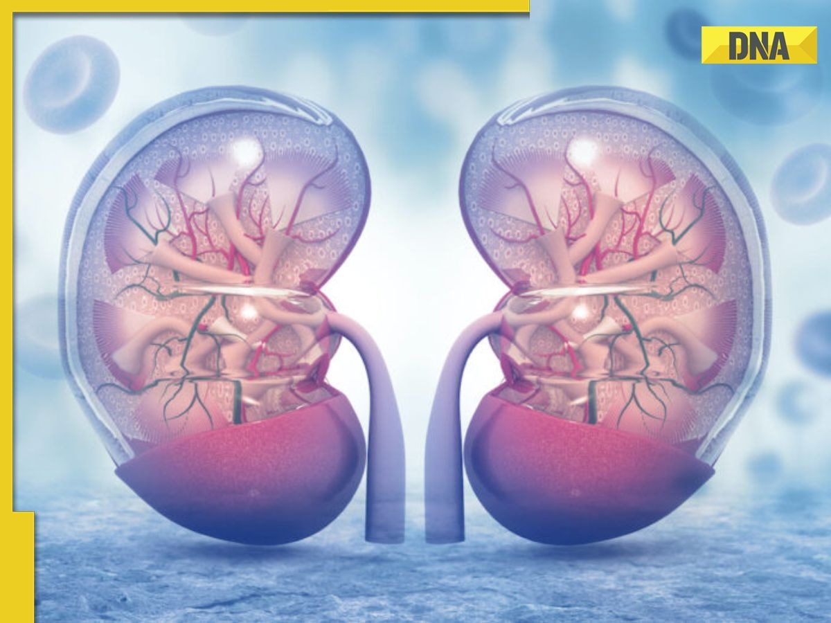 Chronic kidney disease: 6 signs that your kidney is in danger 