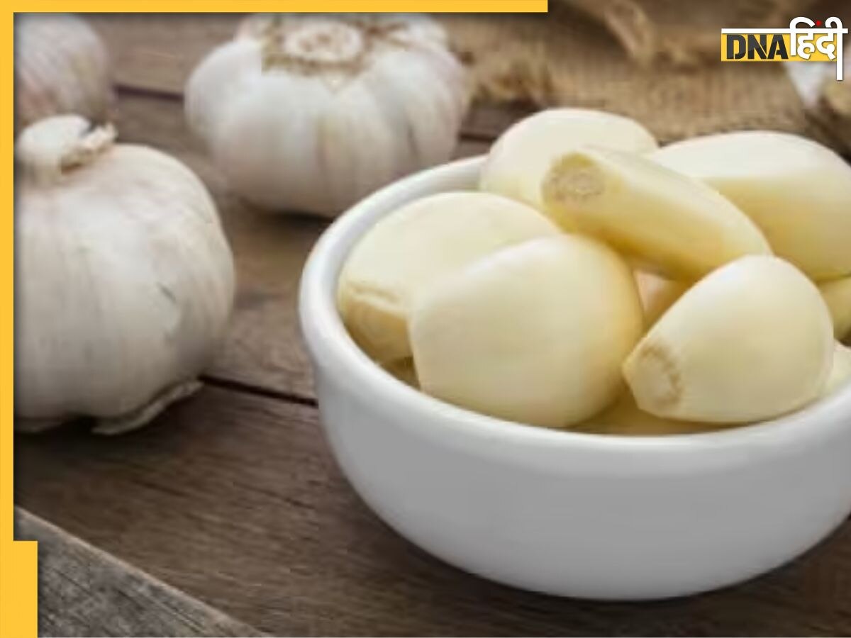 Garlic Benefits: इन 6 गंभीर बीमारियों का दुश्मन है लहसुन, जानें इसे खाने से मिलते हैं बेहतरीन फायदे