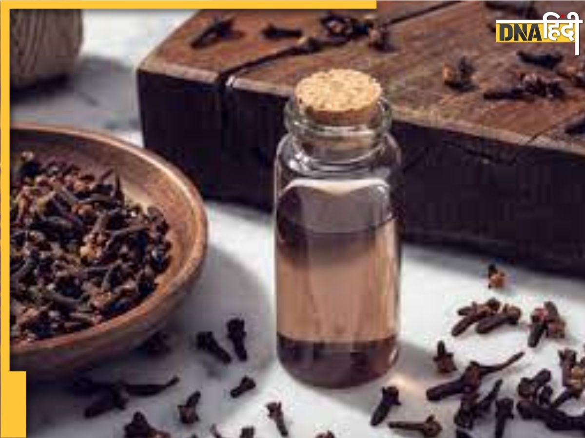 Clove Benefits: मुंह में सिर्फ दो लौंग रखने से छूट जाएगी ये बुरी आदते, एक दो नहीं मिलेंगे पूरे 8 फायदे