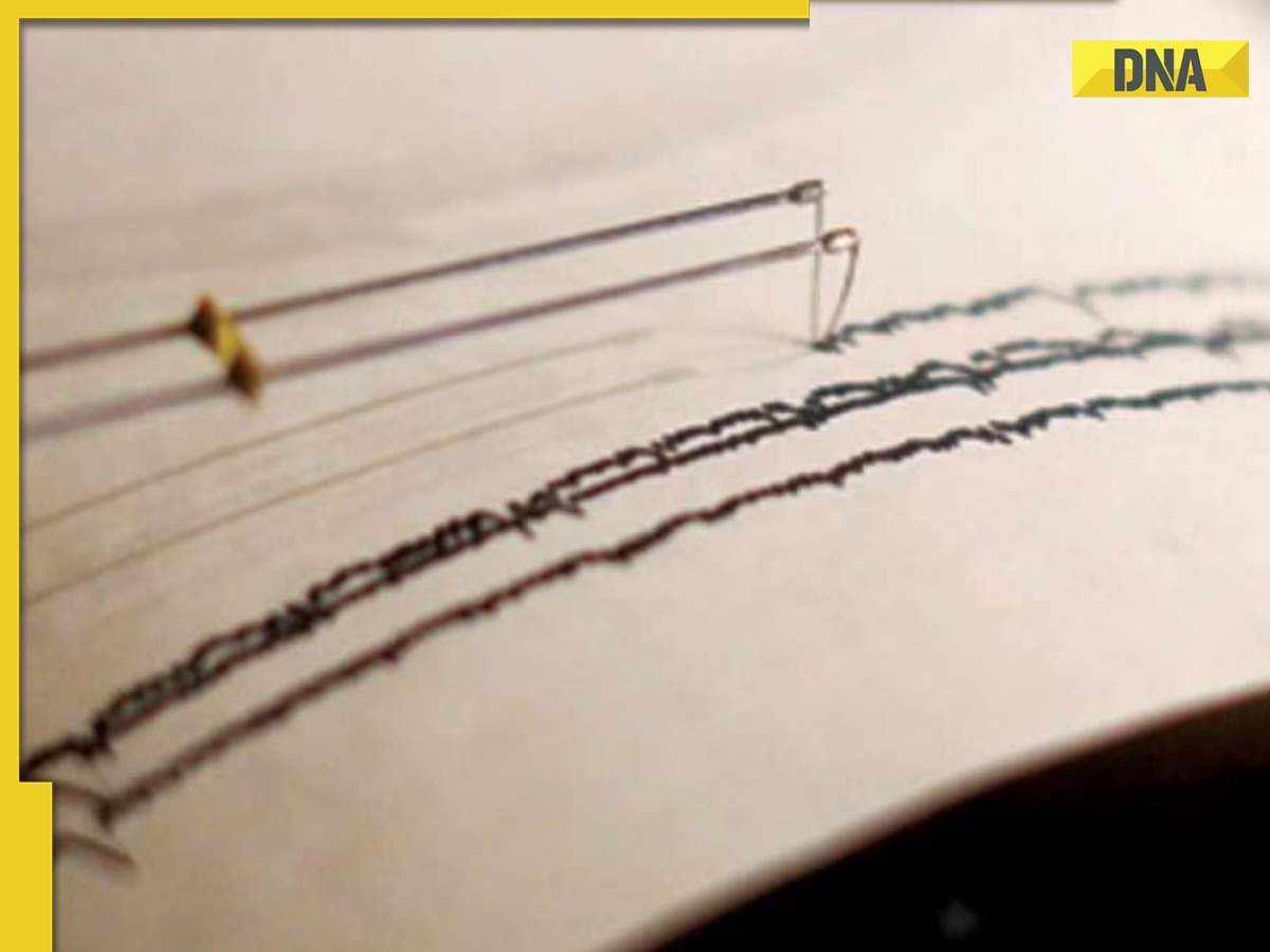 DNA Verified: Massive 7.2 magnitude earthquake to hit Nagaland on Feb 26? Here's what NSDMA says