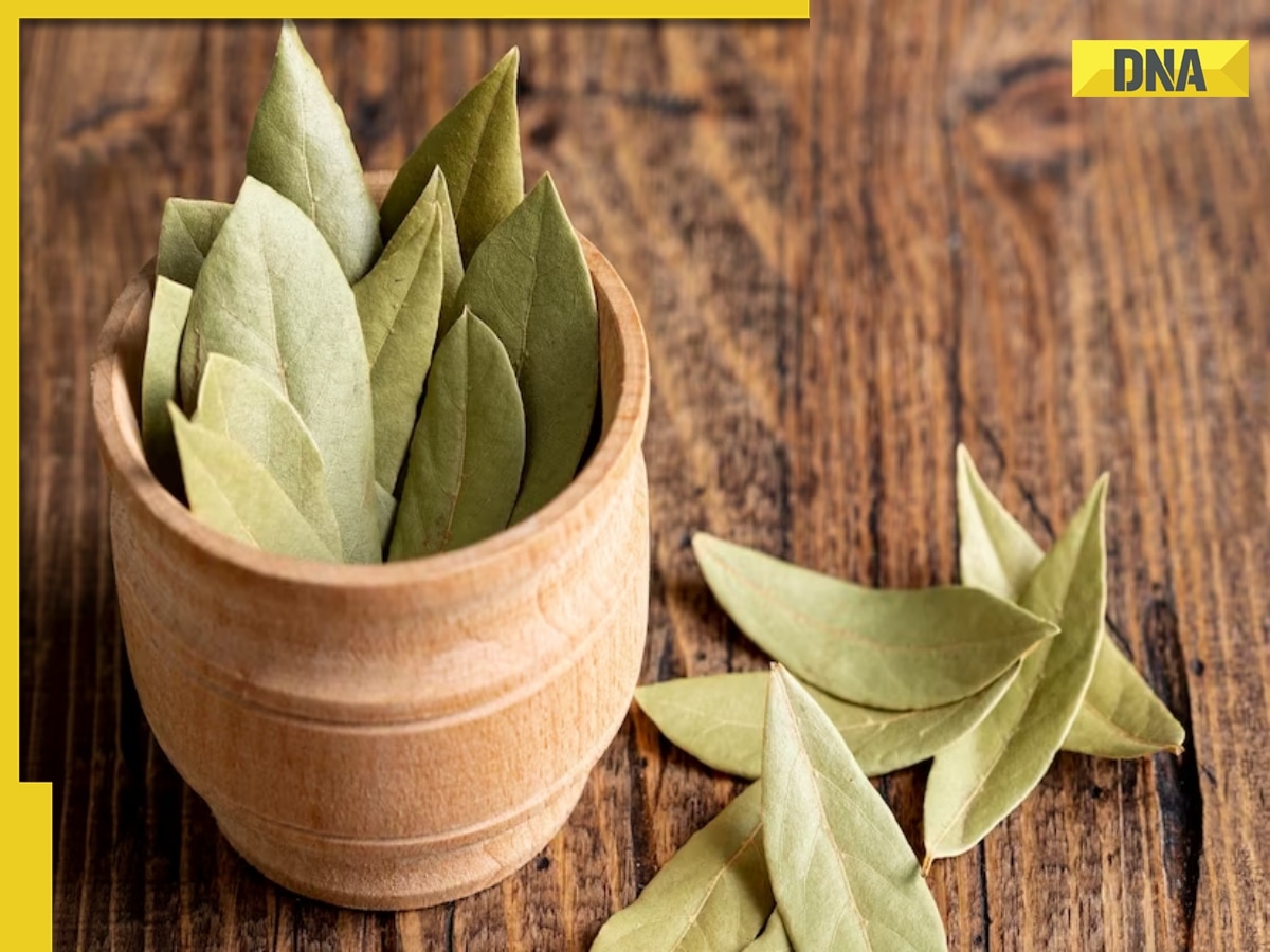 Tej Patta: 5 health benefits of bay leaves 