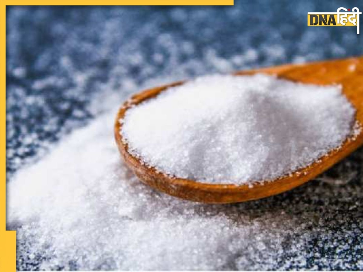 Salt Vastu Upay: नमक का ये छोटा सा टोटका आपकी सोई किस्मत को जगा देगा, दूर होगी घर की निगेटिविटी