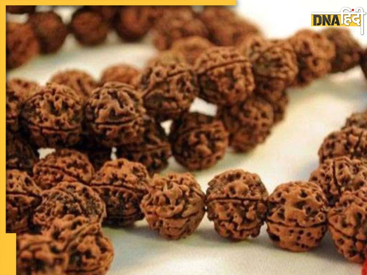 Identify Real Rudraksha: आपका रुद्राक्ष तो नहीं है नकली, इन 4 तरीकों से करें असली-नकली रुद्राक्ष की पहचान