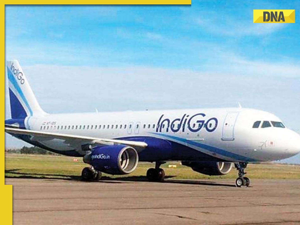 After Bird Hit In Surat, Delhi-bound IndiGo Flight Diverted To Ahmedabad