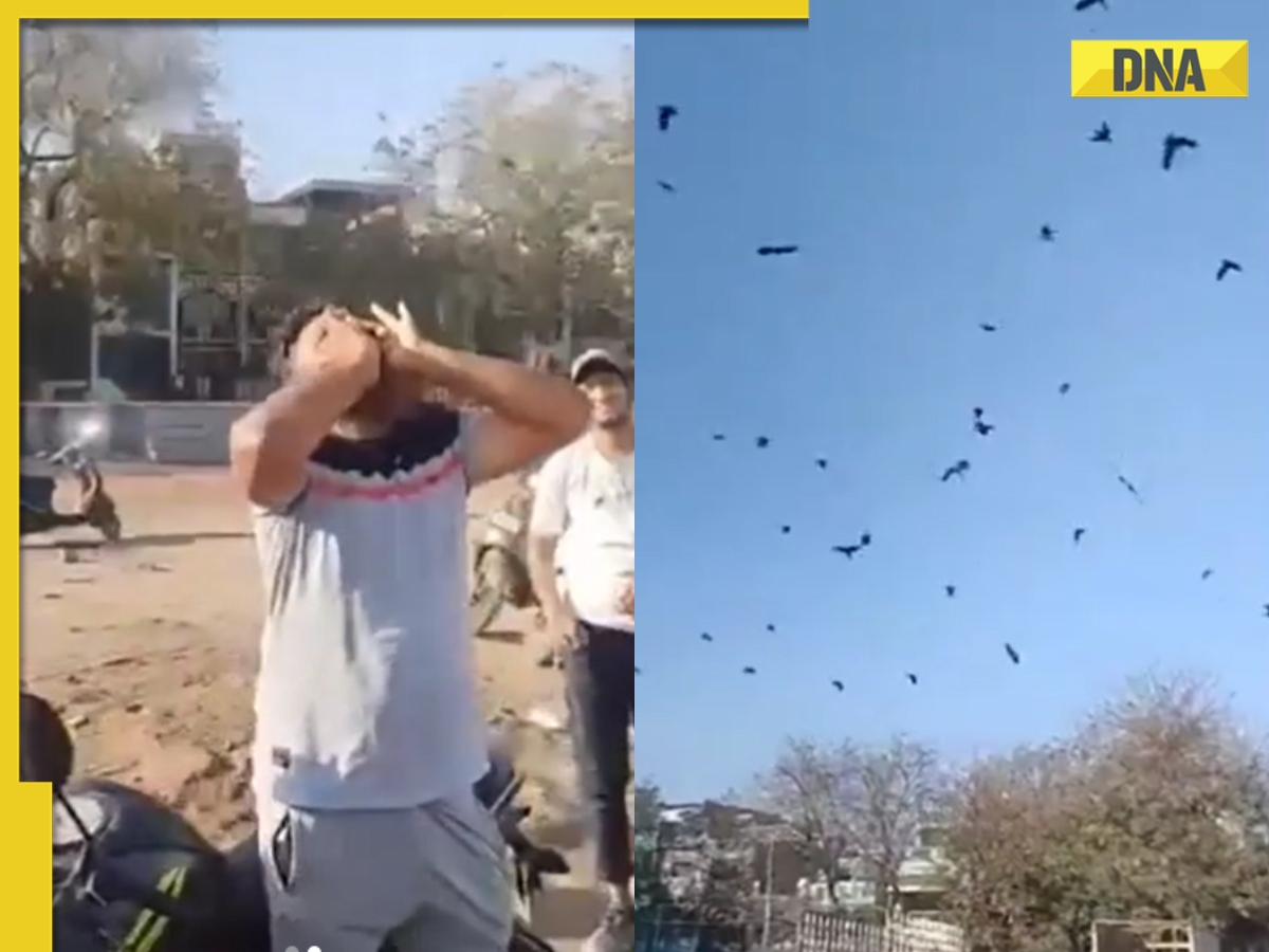 Crow Man of India': Man fills the sky with crows by making unique sound, fascinating video goes viral Crow Man of India': Man fills the sky with crows by making unique sound, fascinating video goes viral