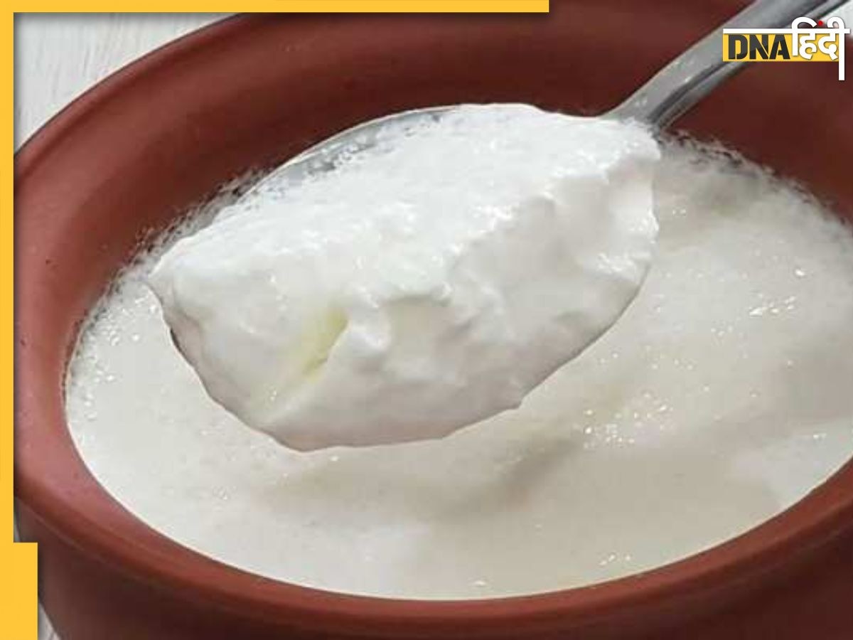 Curd Sugar Side Effects:दही चीनी खाने के हैं शौकीन तो आज से ही बदल ले अपनी ये आदत, इन 4 बीमारियों का बढ़ जाएगा खतरा 