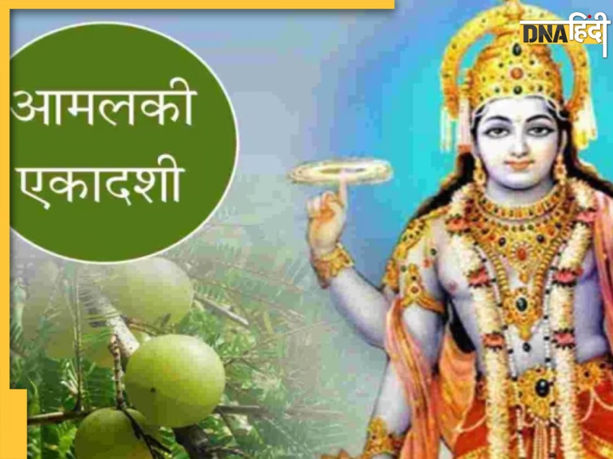 Amalaki Ekadashi 2023: आज रखा जाएगा आमलकी एकादशी व्रत, जान लें इस दिन आंवला के वृक्ष की पूजा का महत्व और पूजन विधि