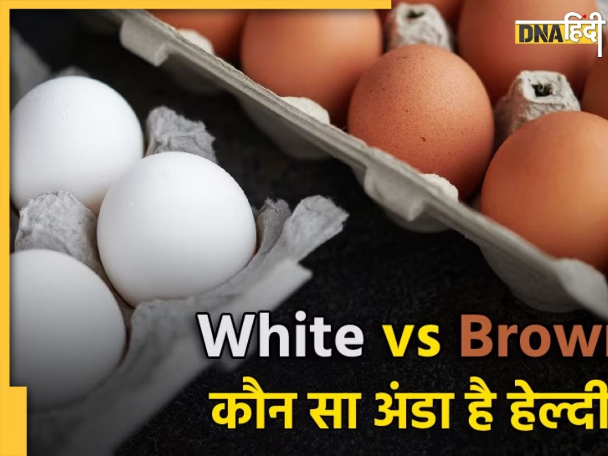 Brown And White Egg: ब्राउन या व्हाइट कौन सा अंडा है ज्यादा पौष्टिक, जानें क्या कहते हैं वैज्ञानिक