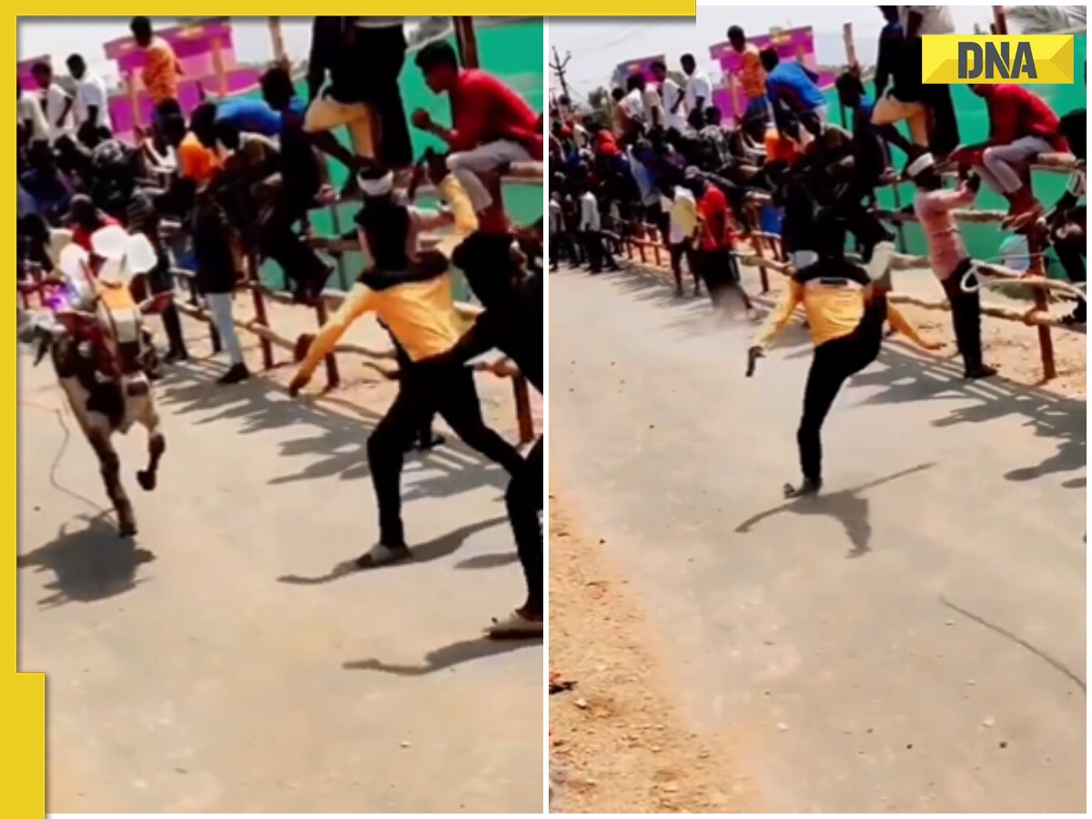 Viral video: Man hits bull, karma bites back