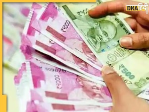 Fixed Deposit: ये बैंक सीनियर सिटीजन्स को दे रहे तोहफा, एफडी पर मिल रहा 8 प्रतिशत तक का रिटर्न