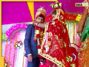 Shocking News: दूल्हे ने जयमाला पहनी, आशीर्वाद लिए, फिर हो गई मौत, कारण कर देगा हैरान, देखें VIDEO