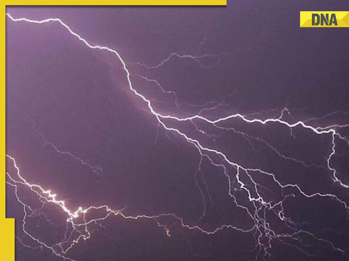 IMD weather update: Thunderstrom forecast for Rajasthan, MP, Maharashtra, other states till March 8