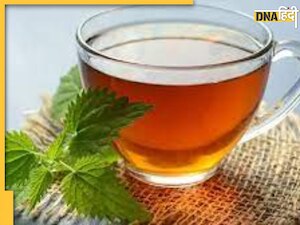 Holi 2023: होली पर तला भूना खाने से बढ़ जाए एसिडिटी तो इस देसी ड्रिंक का करें इस्तेमाल, मिनटों में मिल जाएगी राहत