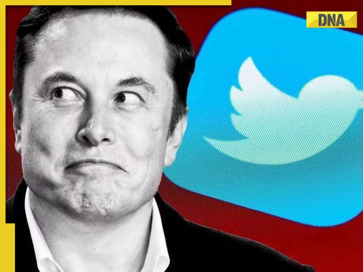 Elon Musk mocks laid-off Twitter employee about his work, disability