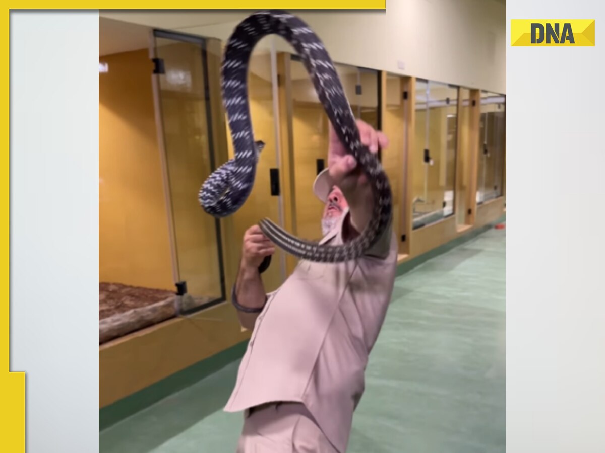 Nine-foot-long snake almost bites zookeeper in spine-chilling viral video, watch