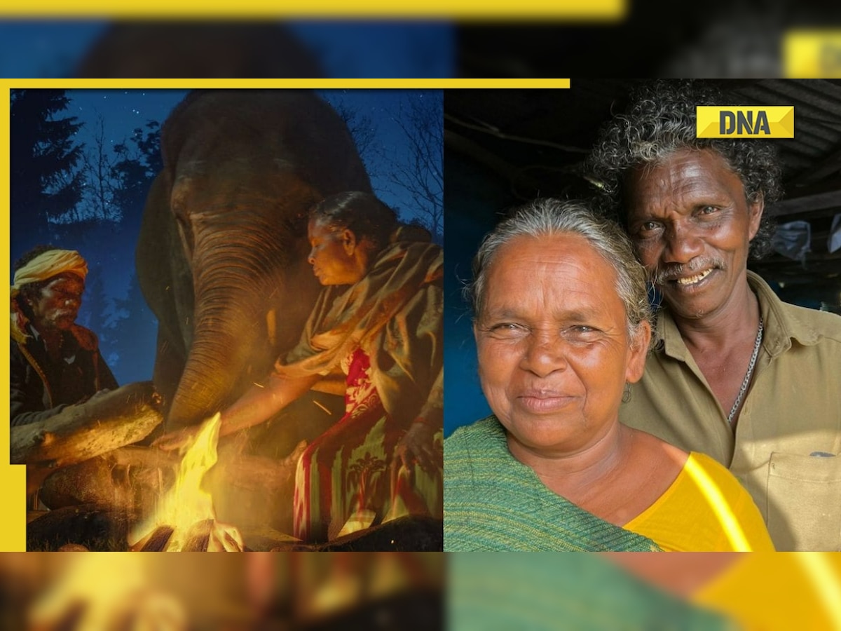 Meet Bomman and Bellie, the tribal couple who inspired India's Oscar-nominated short documentary The Elephant Whisperers