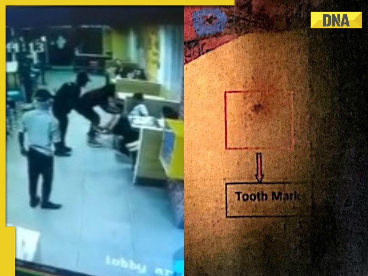 Shocking rat attack caught on cam: Massive rodent bites 8-year-old at McDonald’s restaurant in Hyderabad