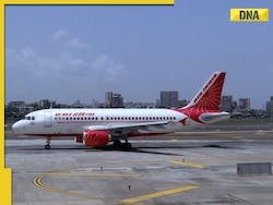 Indian-origin man booked for smoking onboard London-Mumbai Air India flight, case registered