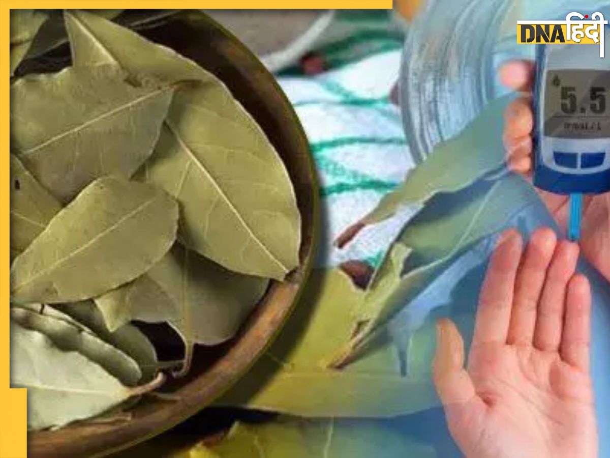 Bay Leaf Benefits खाने का जायका बढ़ाने के साथ Diabetes को भी खत्म कर