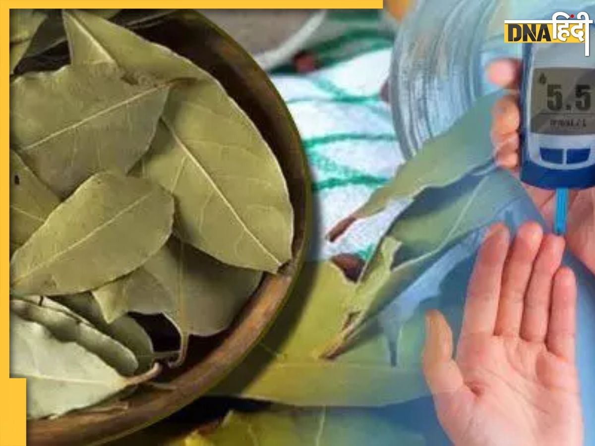 Bay Leaf Benefits : खाने का जायका बढ़ाने के साथ Diabetes को भी खत्म कर देगा ये सूखा पत्ता, जानें सेवन का तरीका