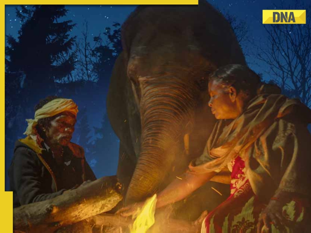 When and where you can watch The Elephant Whisperers, first Indian film to win at Oscars?