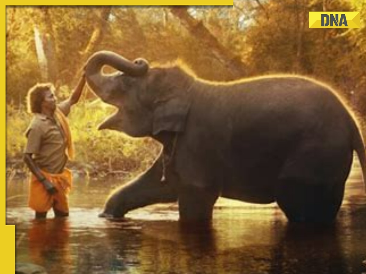 The Elephant Whisperers wins at Oscars: Proud fans thank Kartiki Gonsalves, say 'millions of eyes filled with happiness'