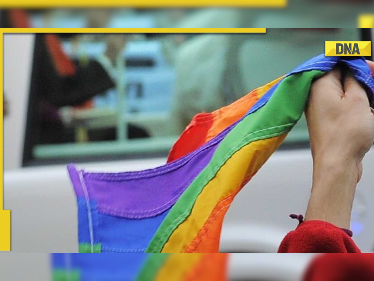 What next for same sex marriage plea in India? Know what Supreme Court said on gay marriage laws