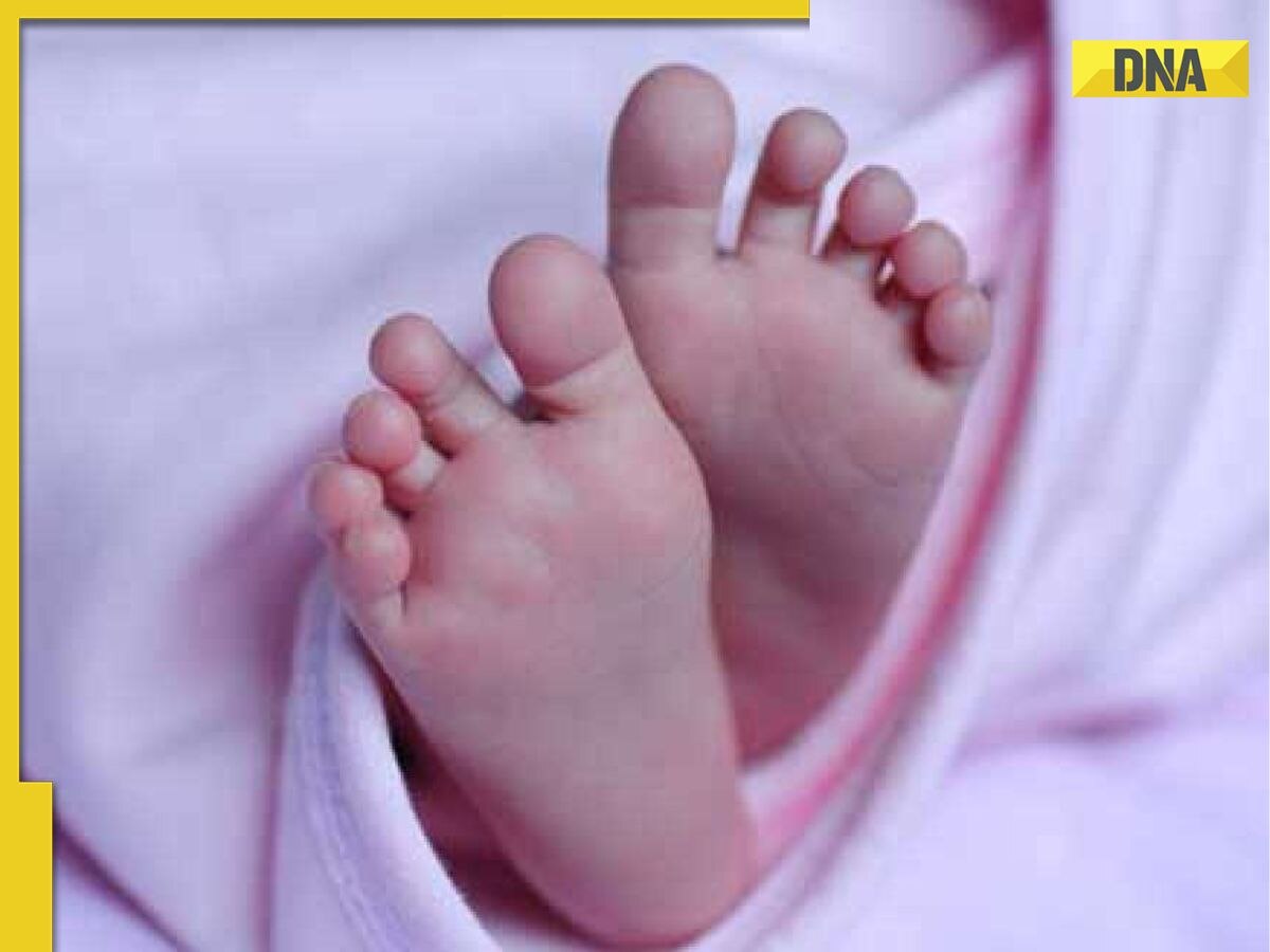 Noida News: Family seeks justice after infant dies in hospital due to doctor's negligence