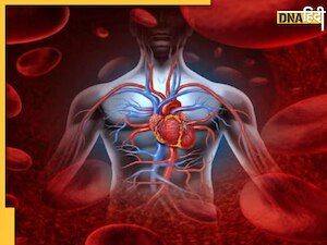 शरीर में ठप पड़ी नसों में जान डाल देंगे ये 5 फूड्स, ब्लड सर्कुलेशन और ऑक्सीजन लेवल होगा हाई