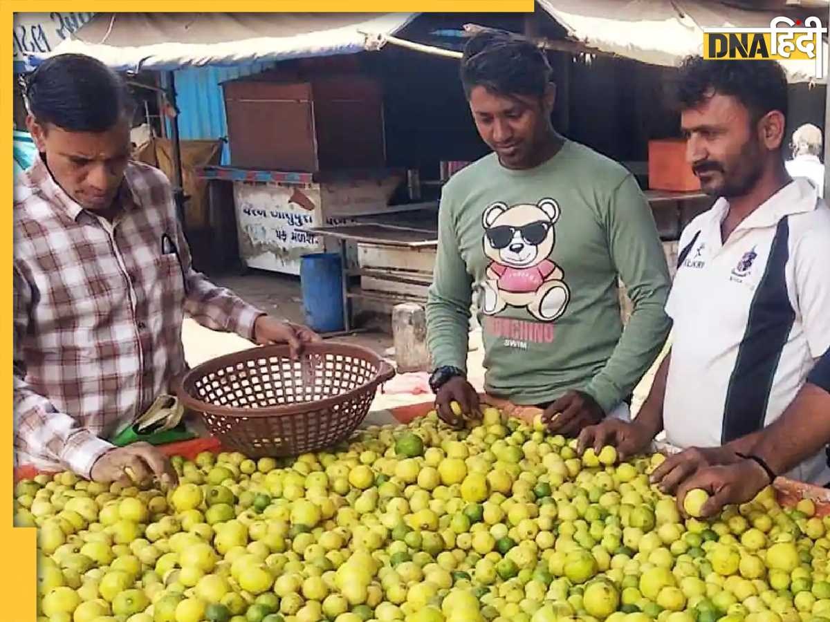 Lemon Price Hike: गर्मी ने निकाला सब्जियों का दम, जेब को रूला देगी नींबू की शिकंजी, जानिए क्या होने जा रहे दाम