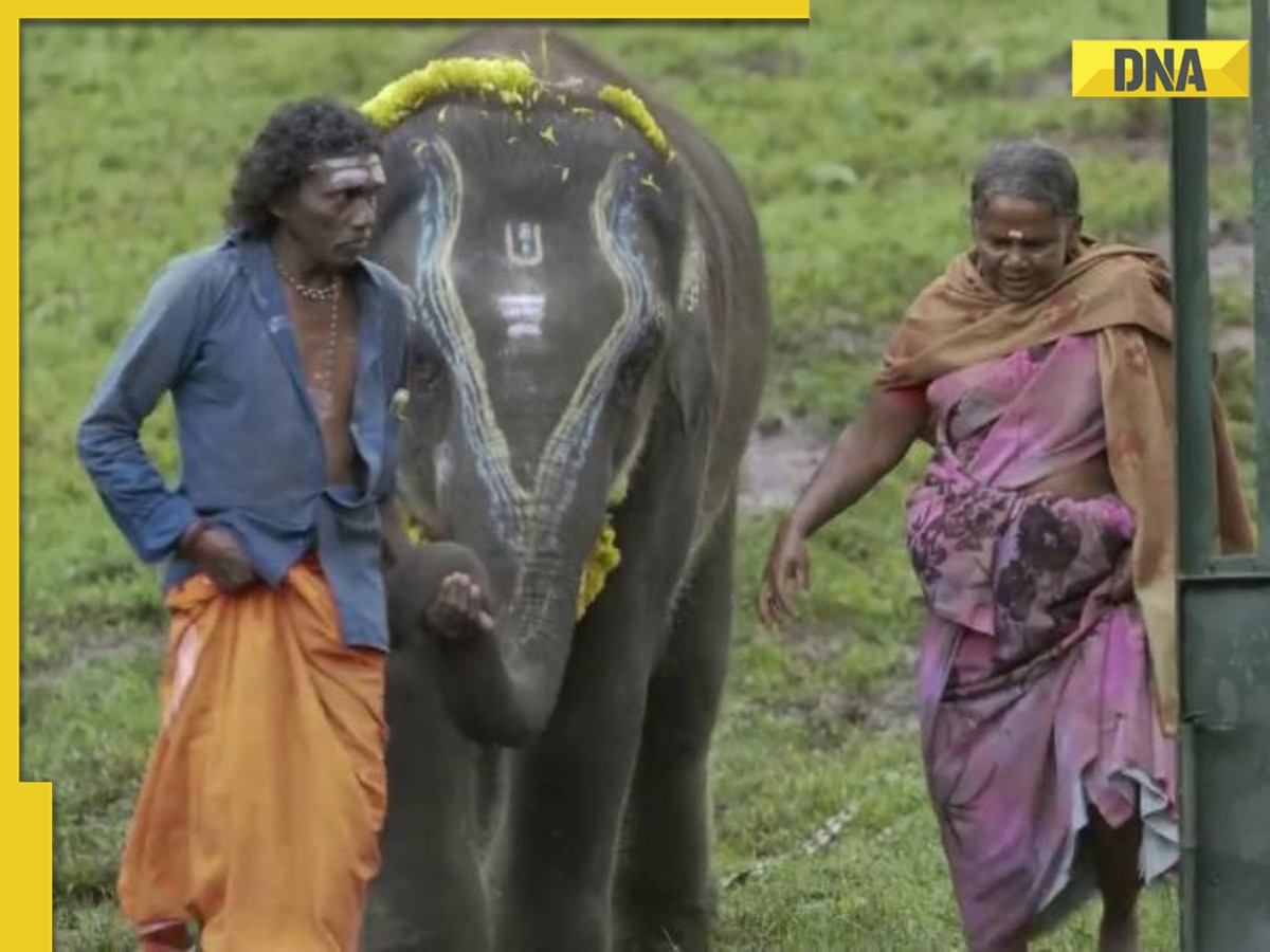 The Elephant Whisperers director Kartiki Gonsalves denies report that tribal couple in Oscar-winning film hasn't seen it