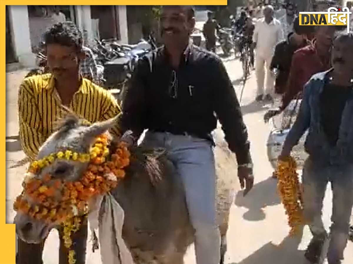 Ajab Gajab Video: गधे को कलेक्टर ऑफिस ले जाकर चांदी की प्लेट में खिलाए काजू, कारण जानकर हंसने लगेंगे आप