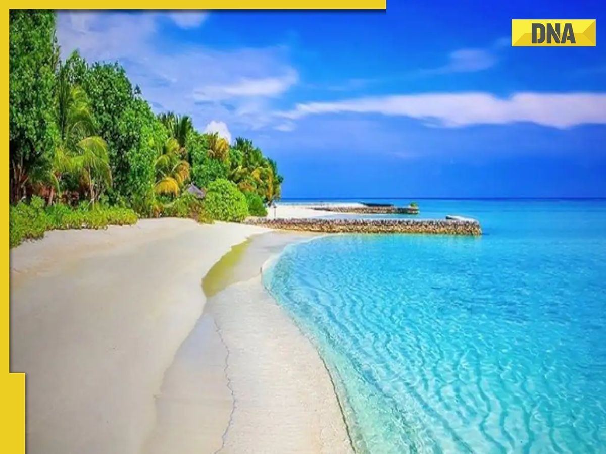 IRCTC Andaman Tour Package: Enjoy exotic beaches for 6 days at just Rs 44,000; check details here