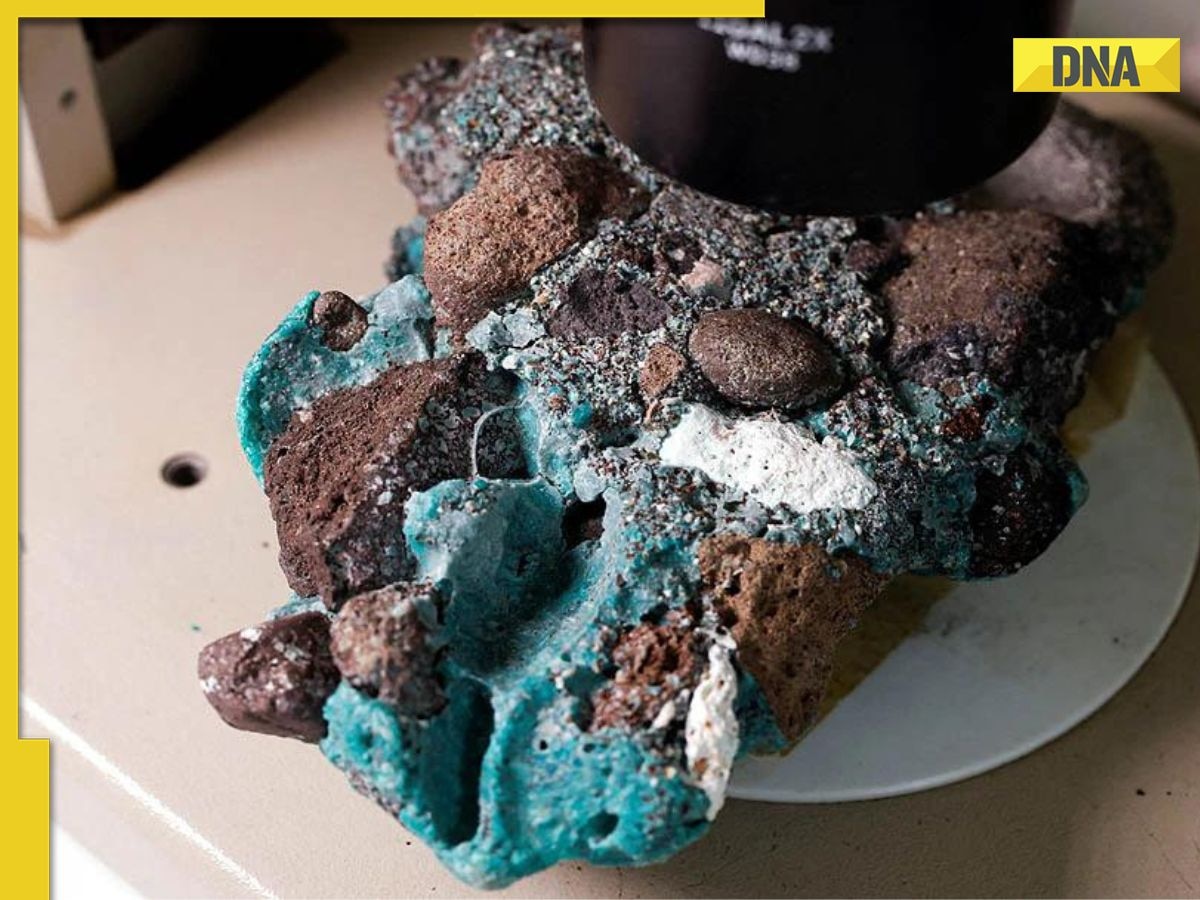 Scientists discover plastic rocks on Trinidad Island, highlight devastating human impact on environment