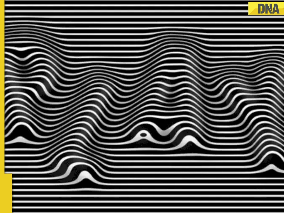 WAVE illusion cd サン　サイン Optical illusion: Which word you can see in THIS image