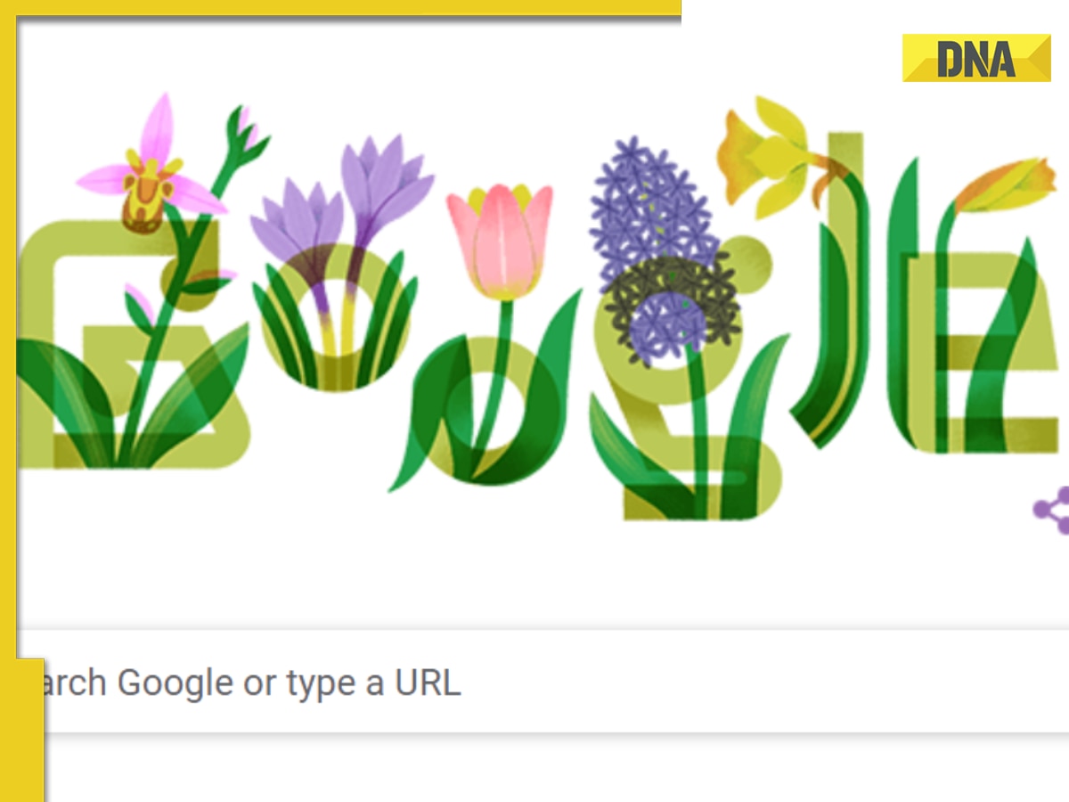 Google Doodle celebrates Nowruz 2023: What is Persian New Year? Know where, why it is celebrated