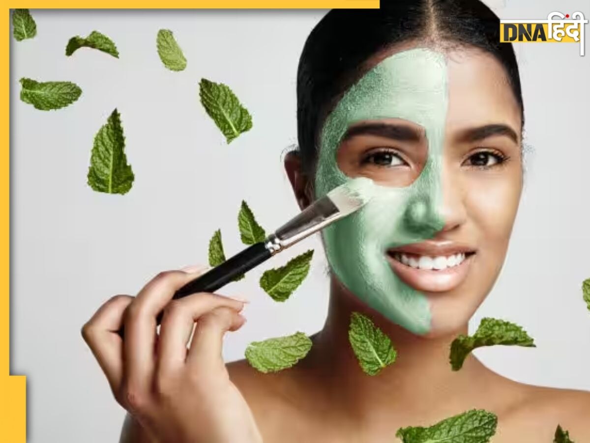 Pudina Face Pack: गर्मियों में त्वचा को रखना है कूल-फ्रेश तो लगाएं पुदीने से बना ये फेस पैक, गुलाब की तरह खिल उठेगा चेहरा