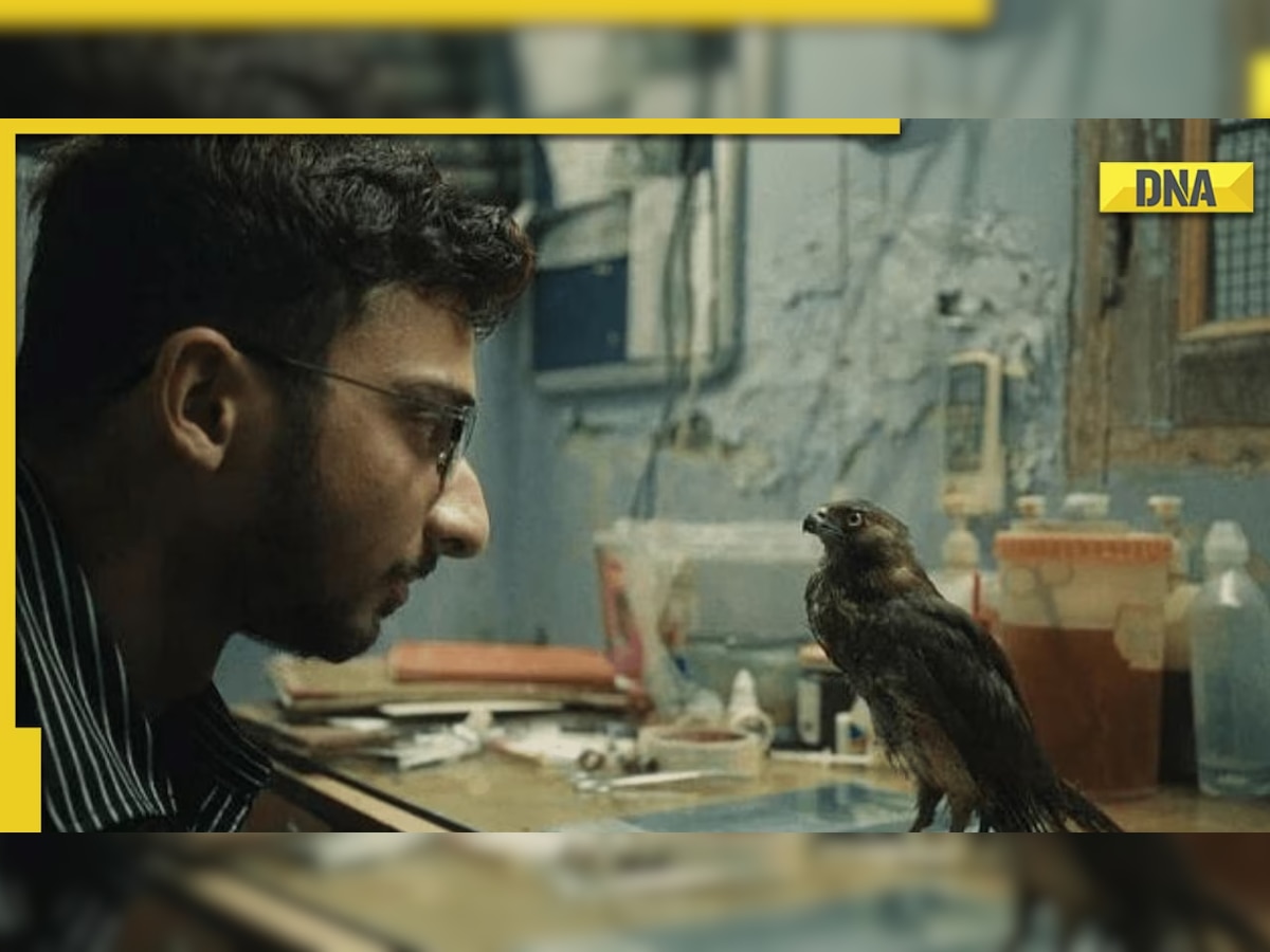 All That Breathes finally releases on OTT in India, here's where you can watch Shaunak Sen's Oscar-nominated documentary