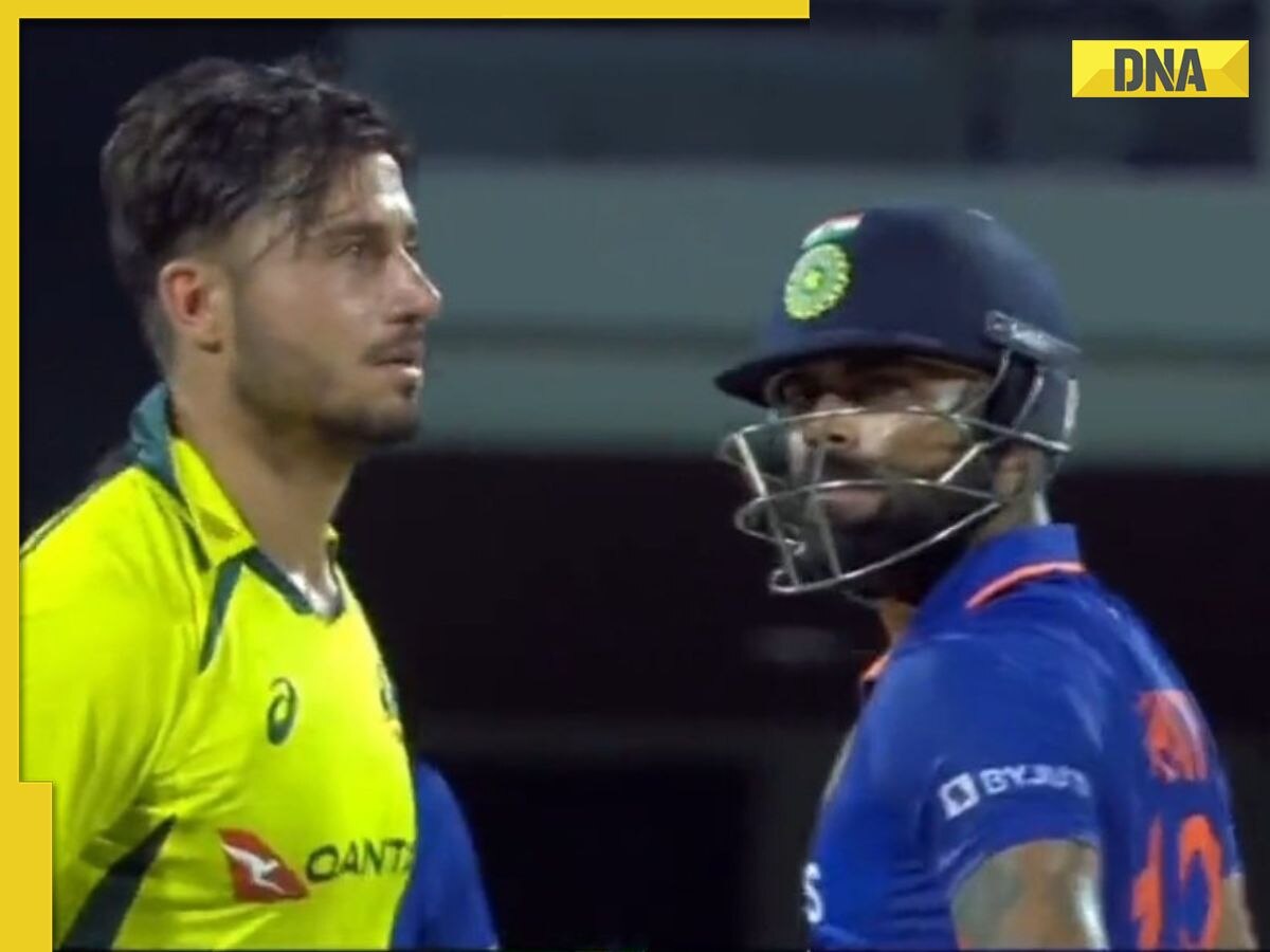 Virat Kohli Intentionally bumps into Marcus Stoinis, watch Australian star’s reaction 