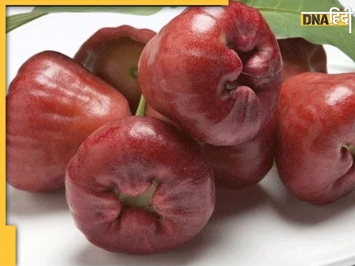 Rose Apple Benefits खूबसूरत त्वचा और हेल्दी बालों के लिए डाइट में