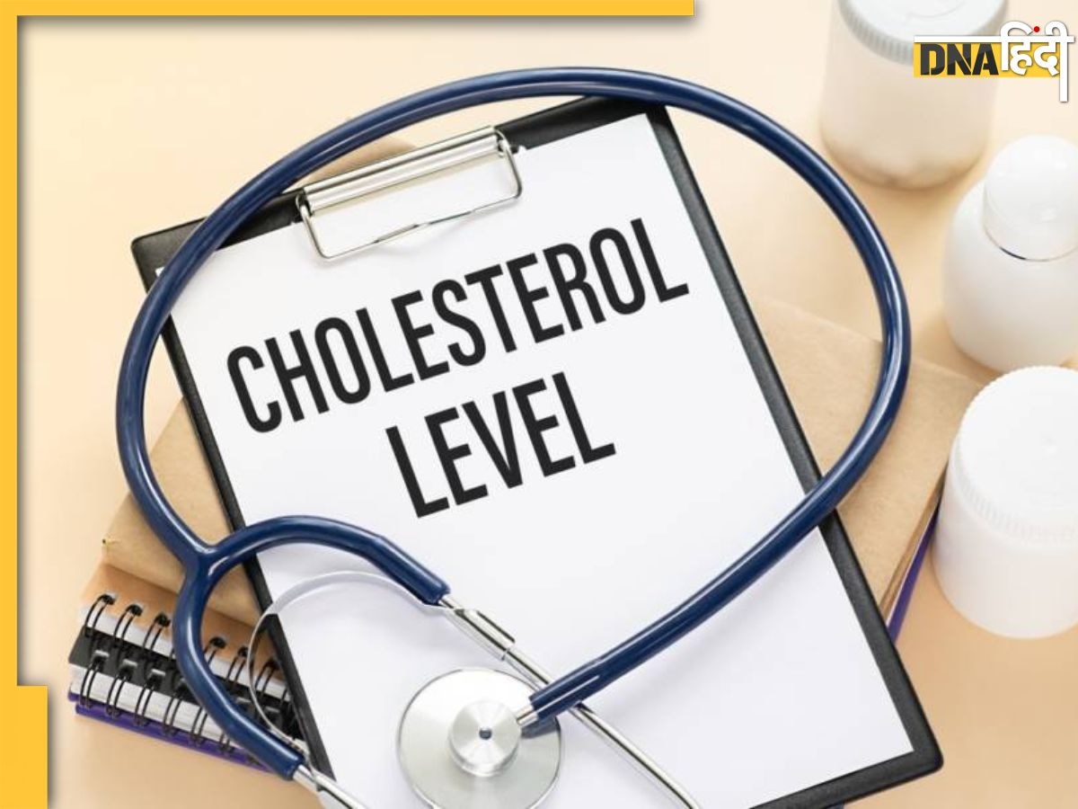 Cholesterol Level Chart:कोलेस्ट्राॅल की बाॅर्डर लाइन क्राॅस करते ही बढ़ जाता है हार्ट अटैक का खतरा, जानें उम्र के हिसाब से कितना होना चाहिए लेवल