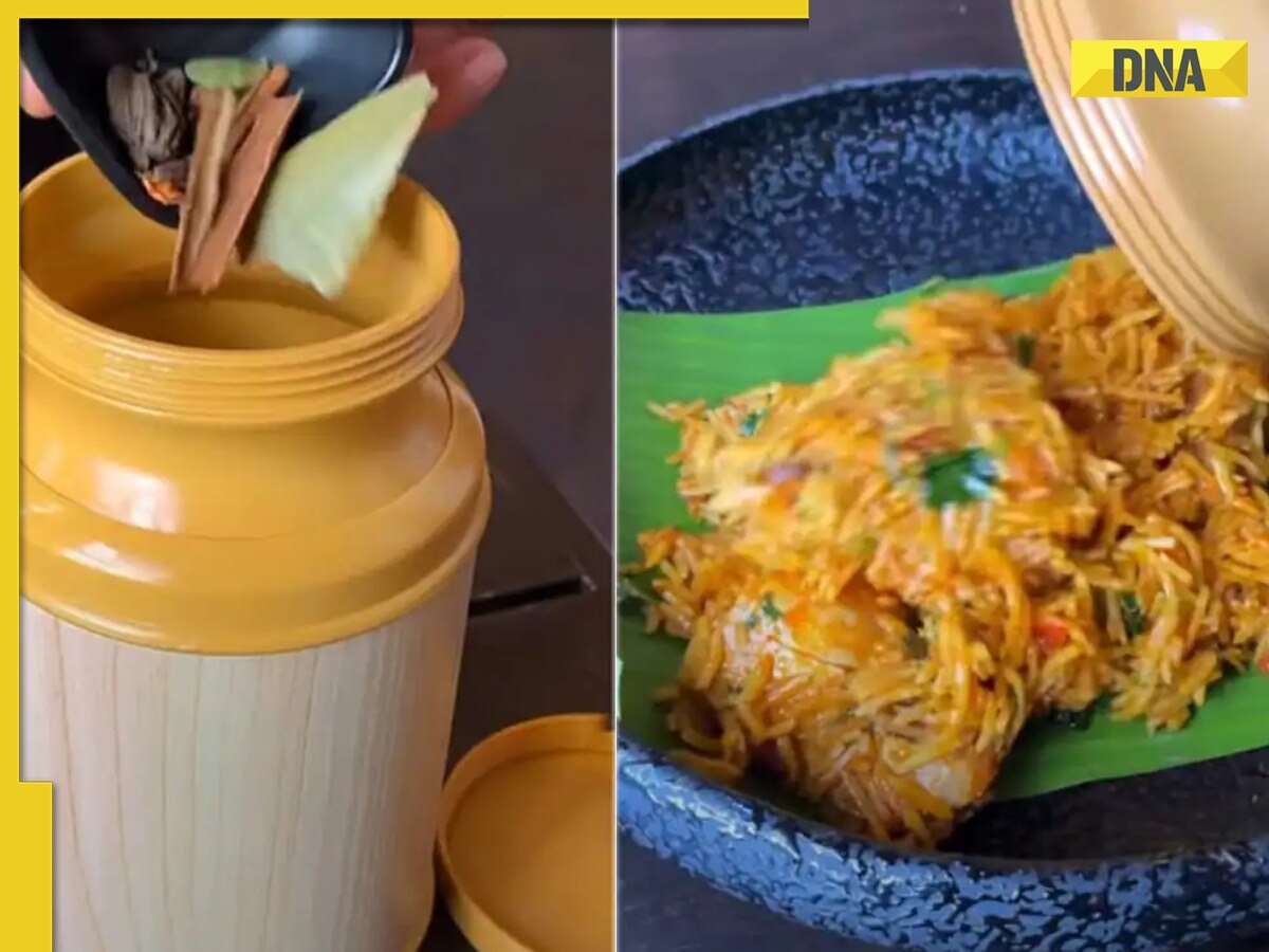 Delhi cafe serves 'illusion biryani' in viral video, netizens call it 'khayali pulav'