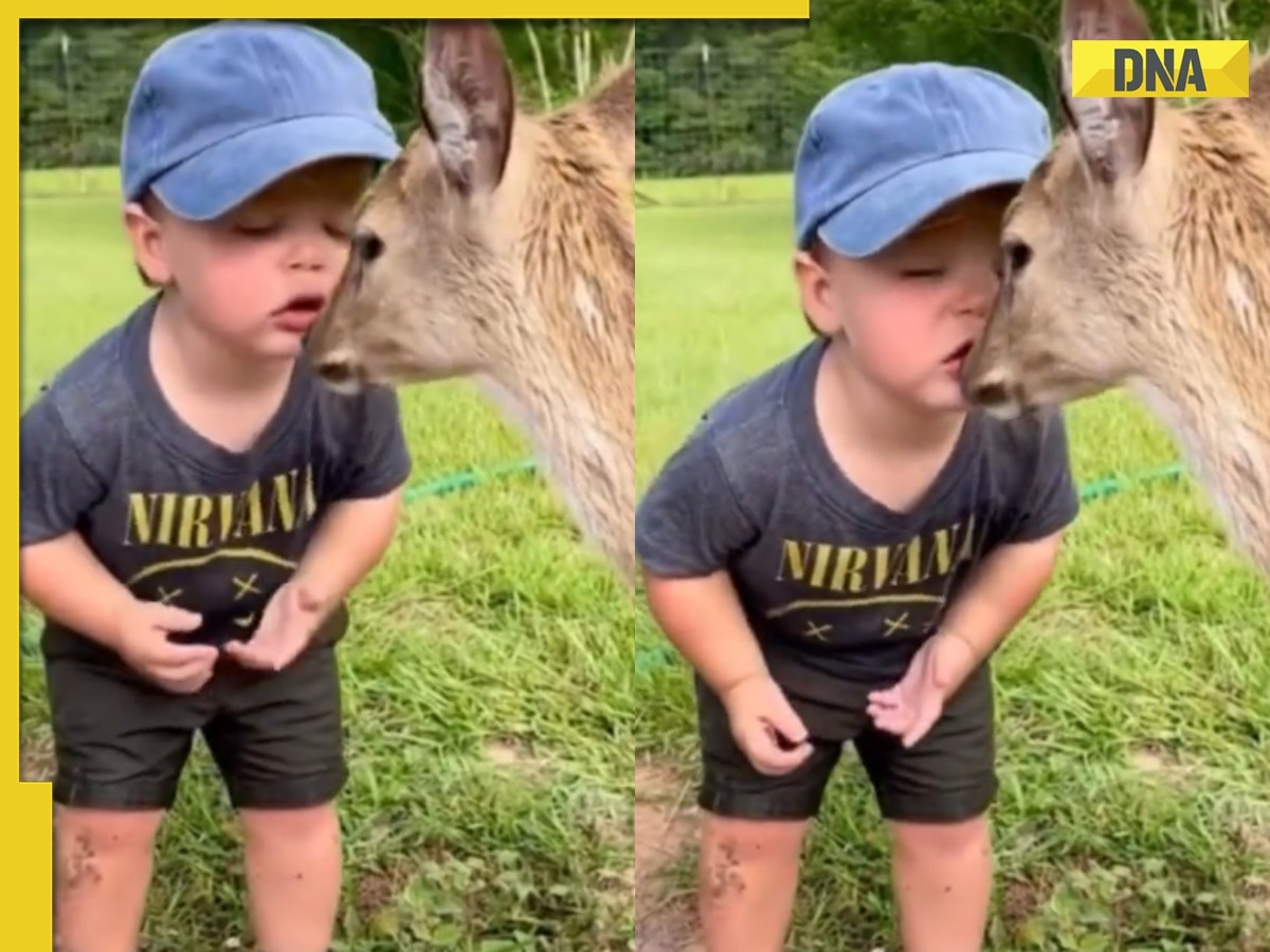 Little boy gently kisses deer and netizens can’t handle the cuteness, viral video