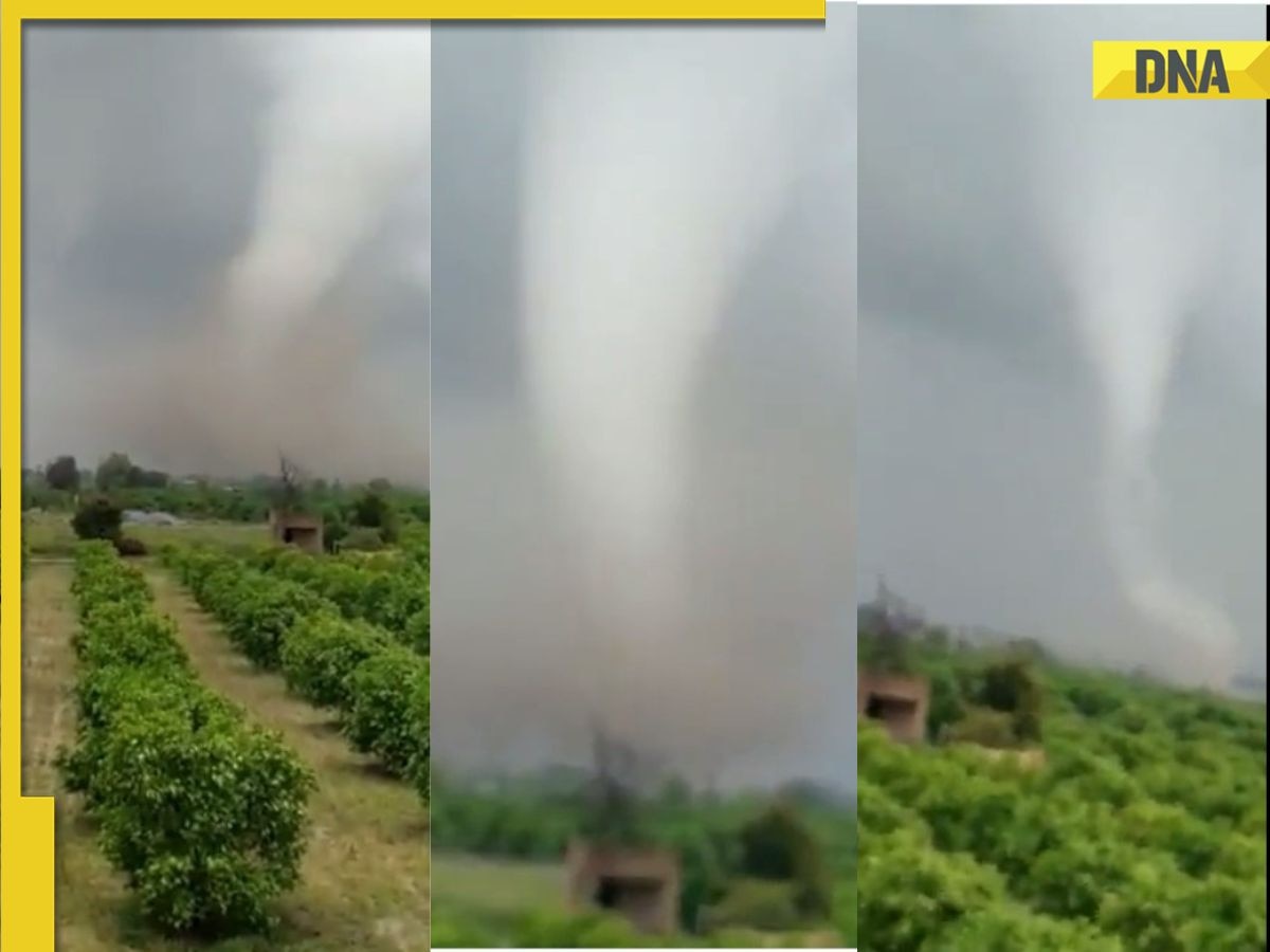 'Only saw in movies': Internet freaked as tornado hits Punjab's Fazilka
