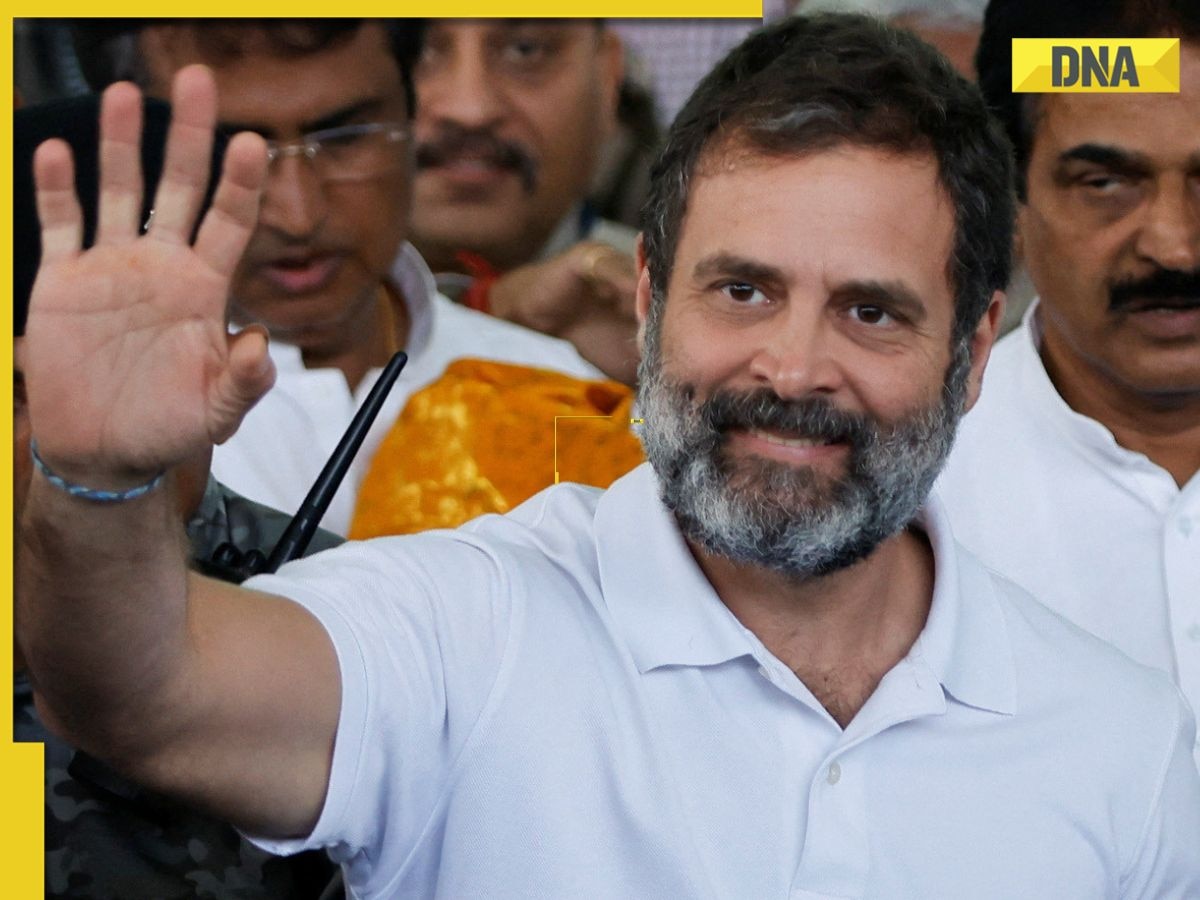 "Dis'Qualified MP": Rahul Gandhi changes Twitter bio after his removal from Lok Sabha