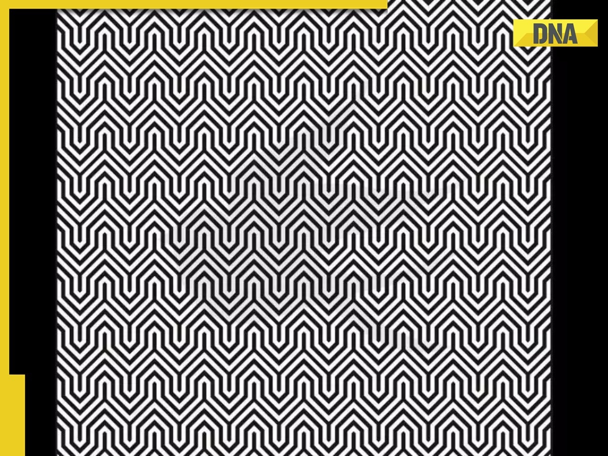 Can you spot hidden animal in THIS optical illusion?