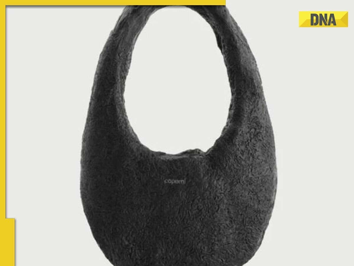 Meteorite Bag: French brand unveils limited edition 'Mini Meteorite Swipe  Bag' made of real meteorites; Here's the price - The Economic Times